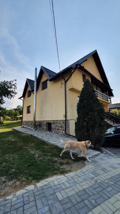 Hotel Popasul Galesean Galesu Esterno foto