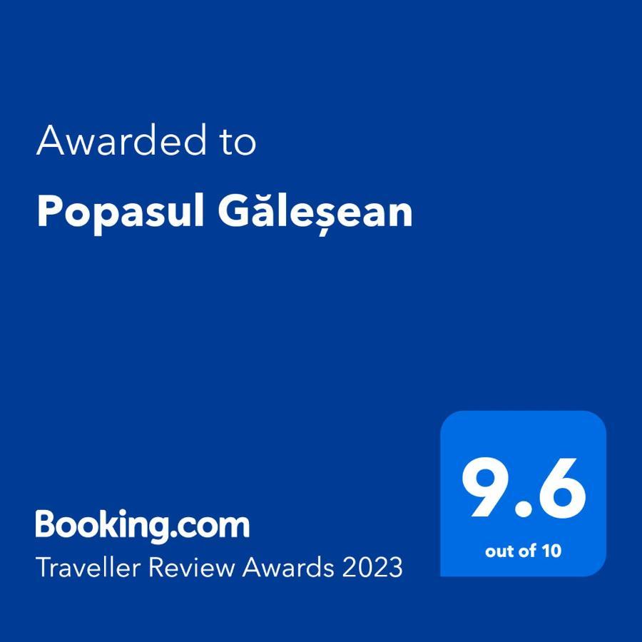 Hotel Popasul Galesean Galesu Esterno foto